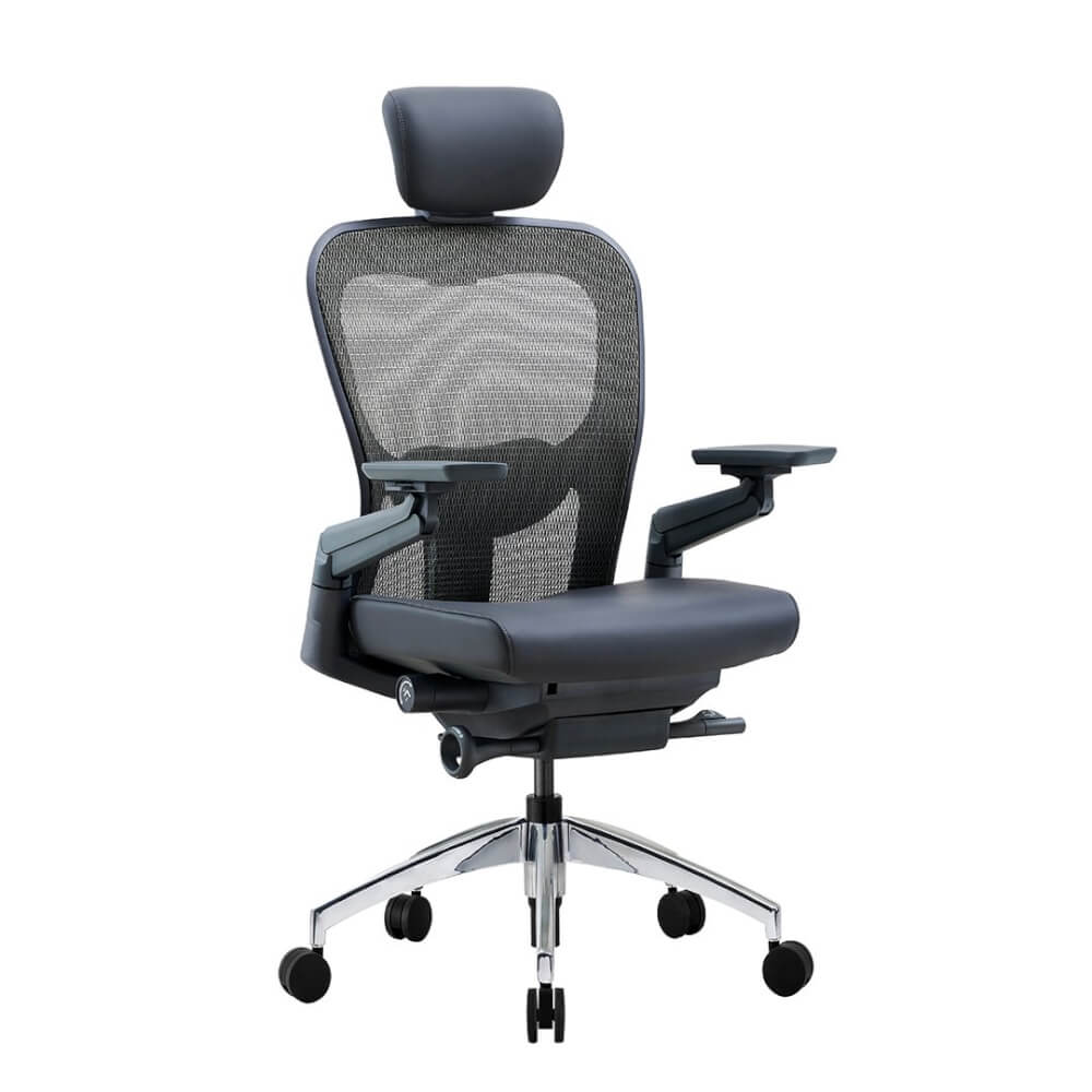 เก้าอี้เพื่อสุขภาพ DF PROCHAIR รุ่น Wonder-H สีดำ